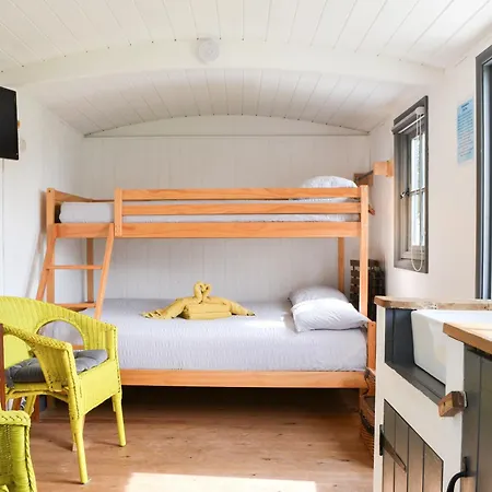 Vakantiehuis Hannahs Shepherds Hut - Uk43564