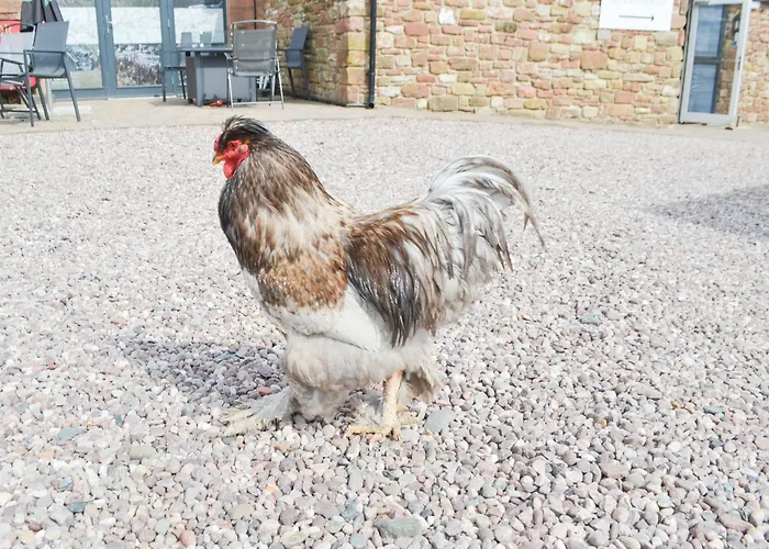 Hannahs Shepherds Hut - Uk43564 Сasa de vacaciones Bowness-on-Solway